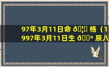 97年3月11日命 🦅 格（1997年3月11日生 🌺 辰八字）